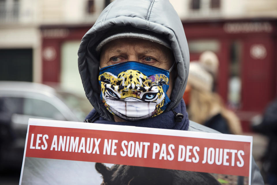 An advocates of animal rights holds a poster reading in French "animals are not toys" during a protest near the National Assembly, Tuesday, Jan.26, 2021. French lawmakers start debating Tuesday a bill that would ban using wild animals in traveling circuses and keeping dolphins and whales in captivity in marine parks, amid other measures to better protect animal welfare. Advocates of animal rights have also organized a gathering nearby to urge lawmakers to strengthen the bill that they think does not go far enough. (AP Photo/Lewis Joly)