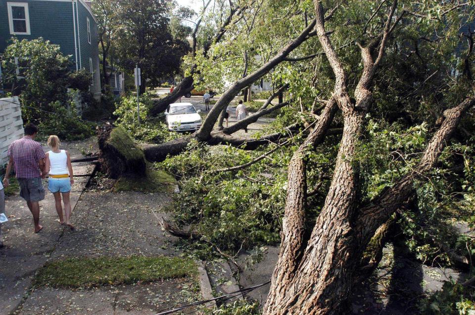 People navigate around down trees on Binney street in central Halifax
in the aftermath of Hurrican Juan, September 29, 2003. Two people were
dead and 80,000 without power in Nova Scotia Monday morning after
Hurricane Juan barreled into the eastern Canadian province from the
Atlantic Ocean overnight. Juan was still lashing the Atlantic region
Monday, but had been downgraded to a tropical storm after hitting
Halifax, Nova Scotia's biggest city and one of the country's largest
ports, with with winds of up to 140 km/h (90mph.) A state of emergency
was declared in the city. REUTERS/Paul Darrow

PD/GN