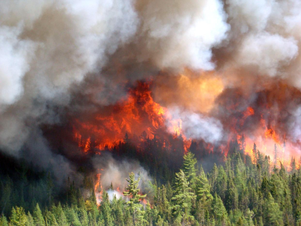 A wildfire burns in Michigan's U.P. in May 2012.