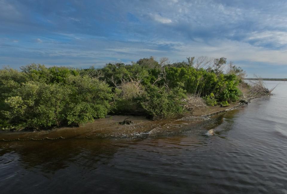 Paul and Diane Caron worked with the Riverside Conservancy project to restore the mangrove and oyster reef along their Ponce Inlet property.