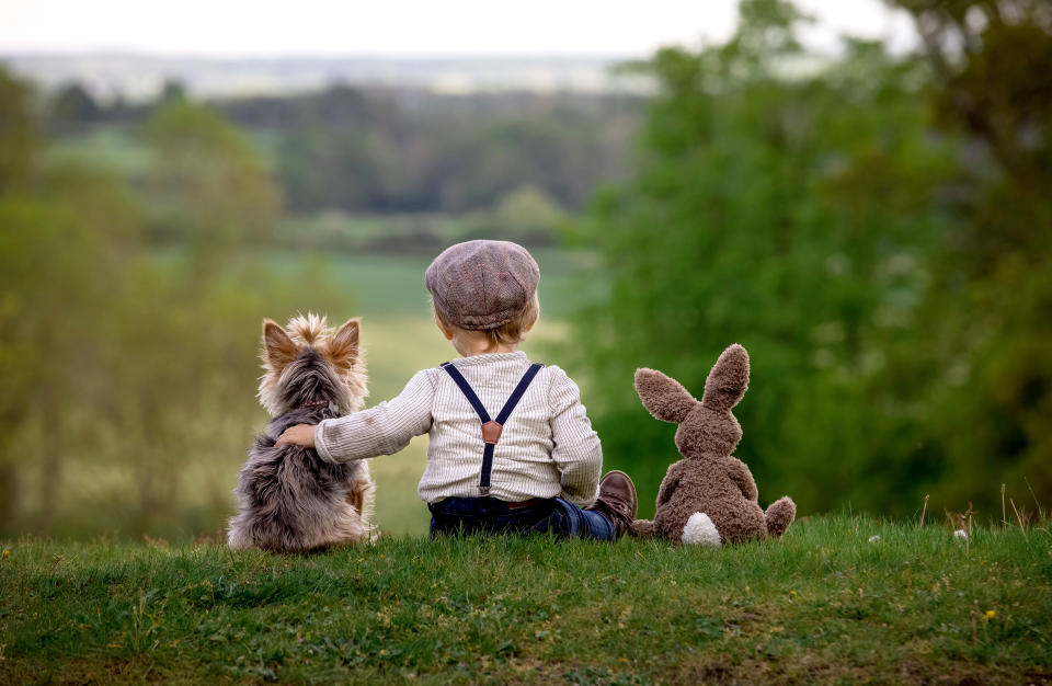 Hund, Mensch, Plüsch-Hase und die große Freiheit. (Bild: Caters)