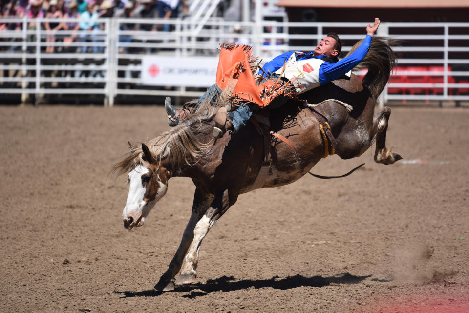 CALGARY, AB - JULY 07: A bareback rider competes at the Calgary Stampede on July 7, 2018 at Stampede Park in Calgary, AB. (Photo by Brett Holmes/Icon Sportswire via Getty Images)