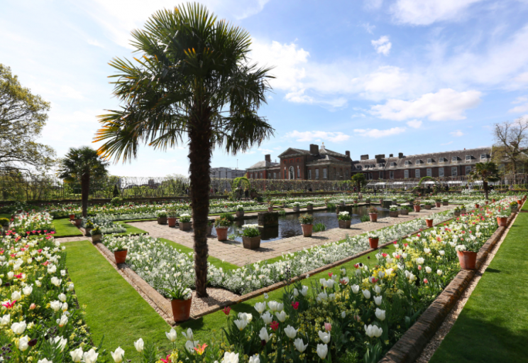 The gardens at Kensington Gardens have spectacularly sprung to life (PA)