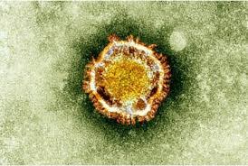 MERS virus