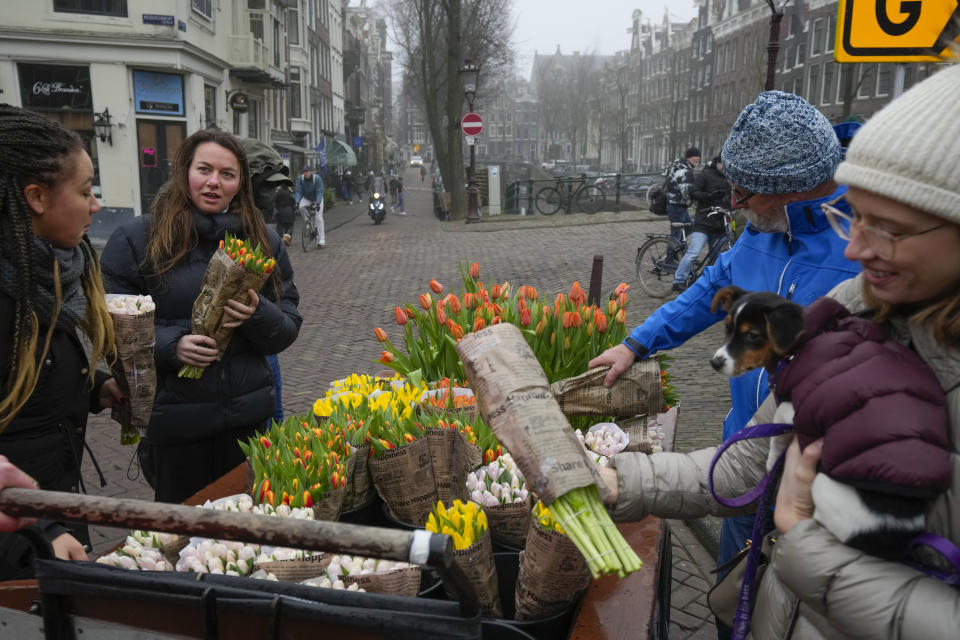 On the day stores in Amsterdam and across the Netherlands cautiously re-opened after weeks of coronavirus lockdown, the Dutch capital's mood was further lightened by dashes of color in the form of thousands of free bunches of tulips handed out by growers in Amsterdam, Netherlands, Saturday, Jan. 15, 2022. (AP Photo/Peter Dejong)