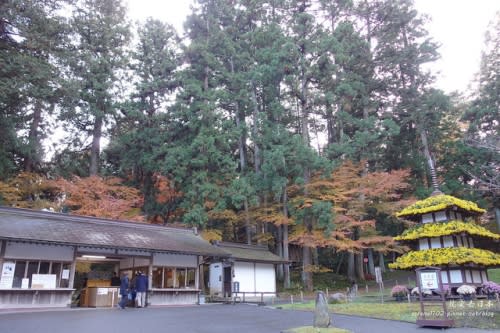 【右上就愛日本旅遊】【日本東北-岩手】東北賞楓疾行（D8-3）中尊寺金色