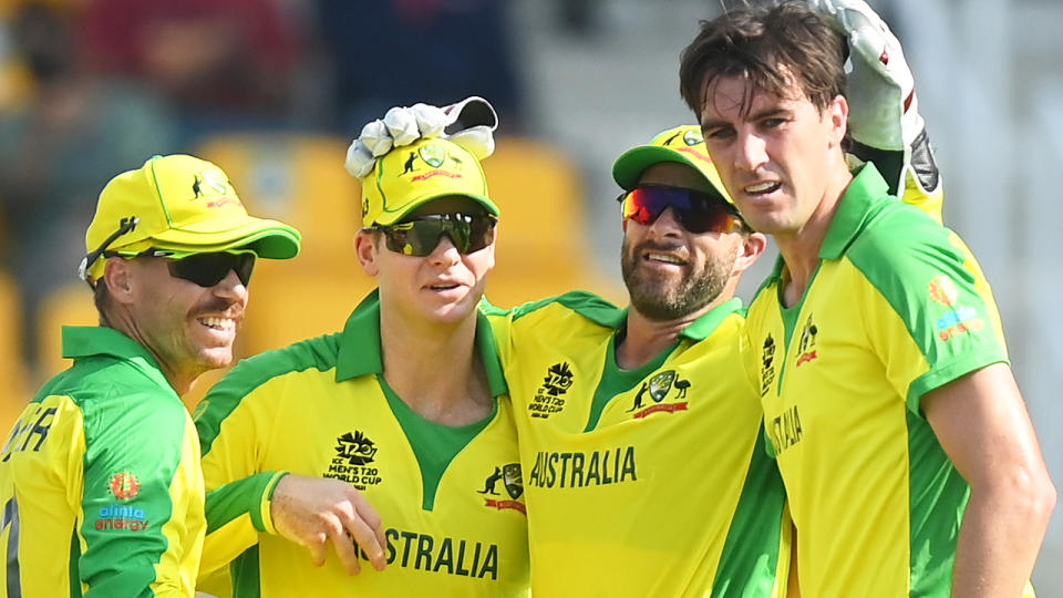 David Warner, Steve Smith, Matthew Wade and Pat Cummins, pictured here in action for Australia.