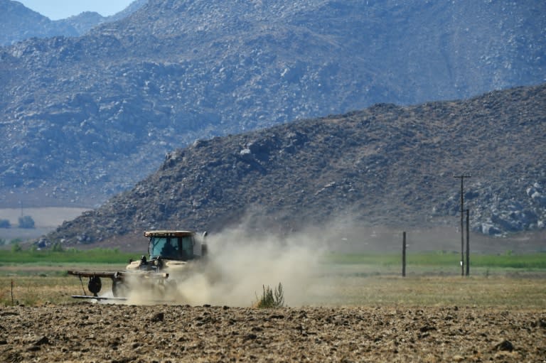 According to the Public Policy Institute of California, almost a quarter of the nation's undocumented immigrants live in California where they fill the physically taxing and low-paying jobs that native Americans often shun