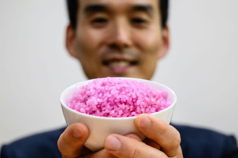 El científico surcoreano Hong Jin-kee posa con un bol de arroz "carnoso" en la Universidad Yonsei de Seúl, el 21 de mayo de 2024 (Anthony WALLACE)