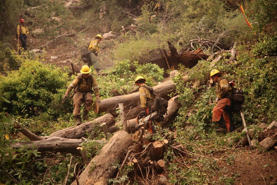 Firefighters construct a line to battle the Bobcat Fire.