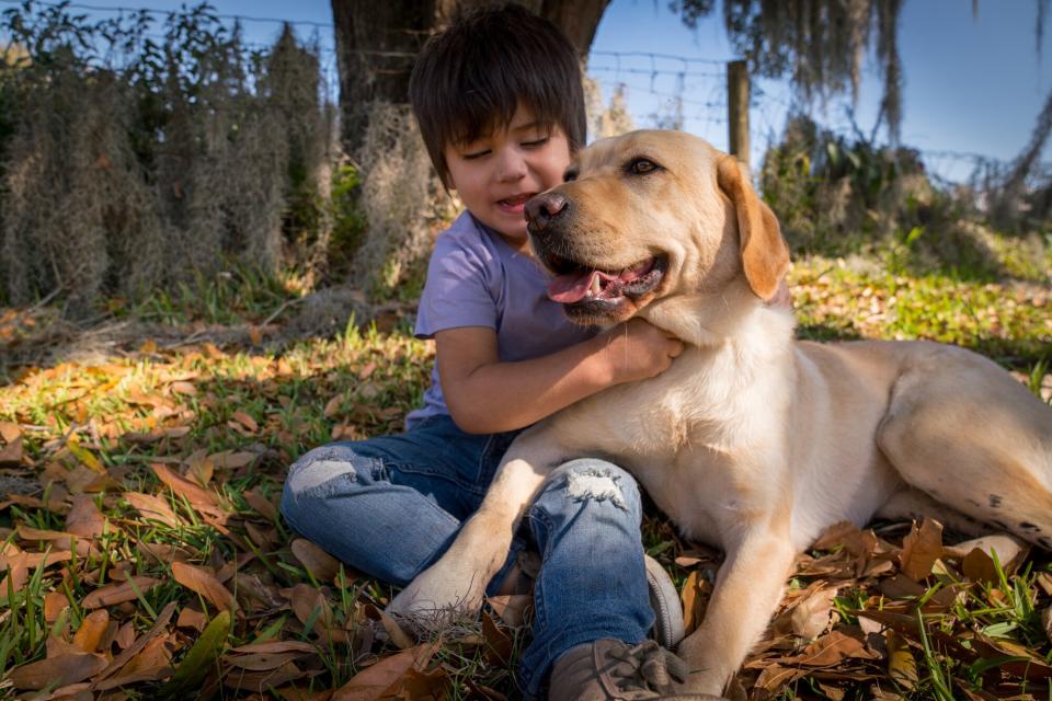 Blind Boy and Companion Dog Merlot Bond