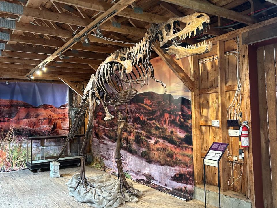 Albert the Dinosaur will be at the Albert County Museum until the end of October.