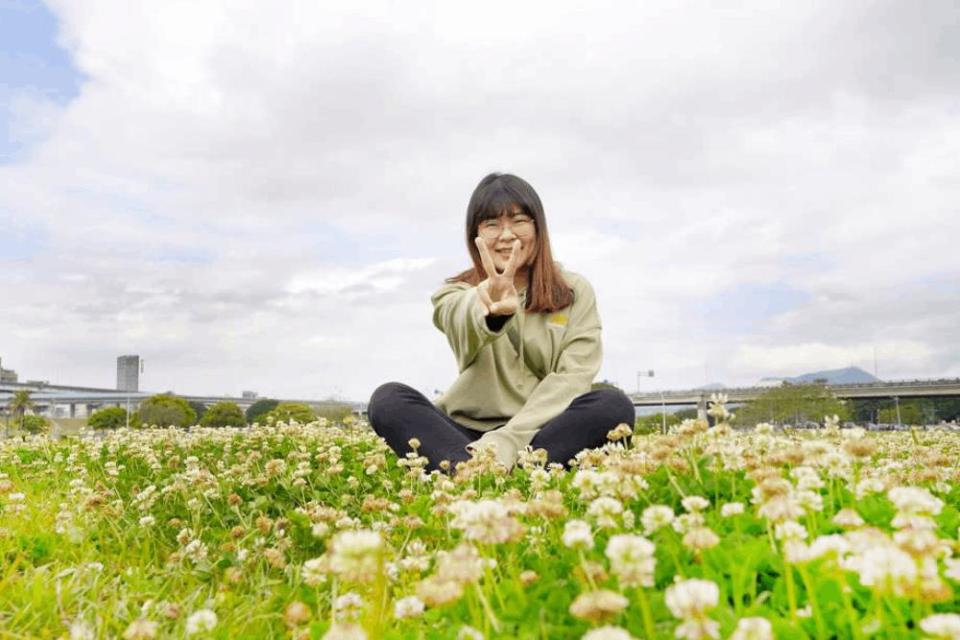 新北市政府高灘地工程管理處提供新北河濱白花三葉草熱情盛開照片