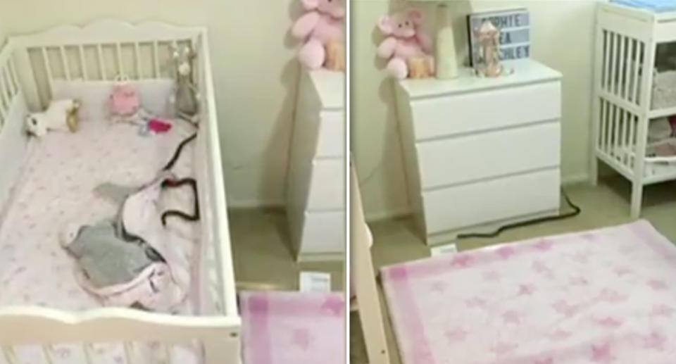 The deadly brown snake slithered through the Gold Coast home before making its way into baby Sophie's cot.