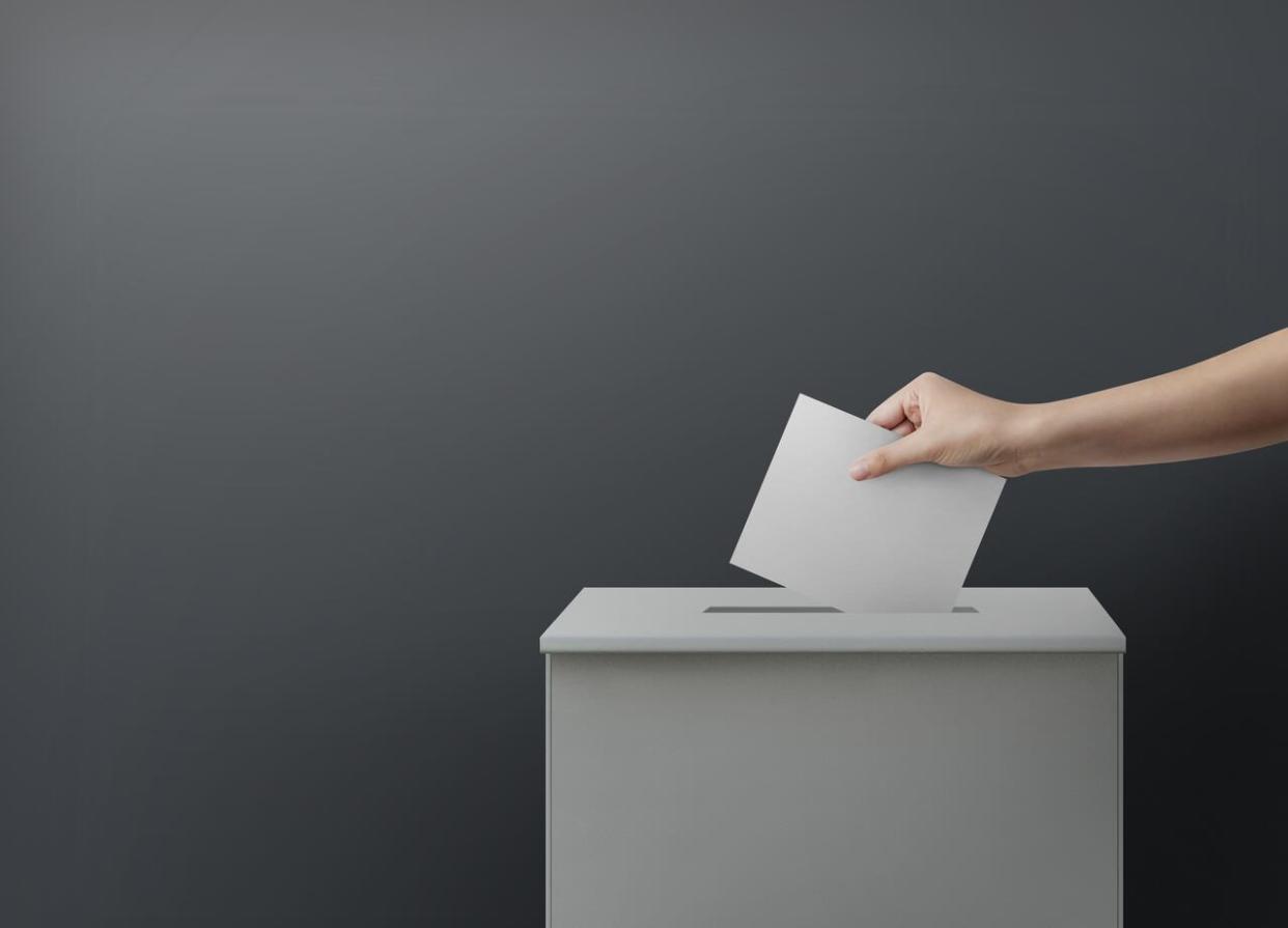 Nova Scotia is hoping to encourage people to run for office in this year's municipal elections.  (Shutterstock - image credit)