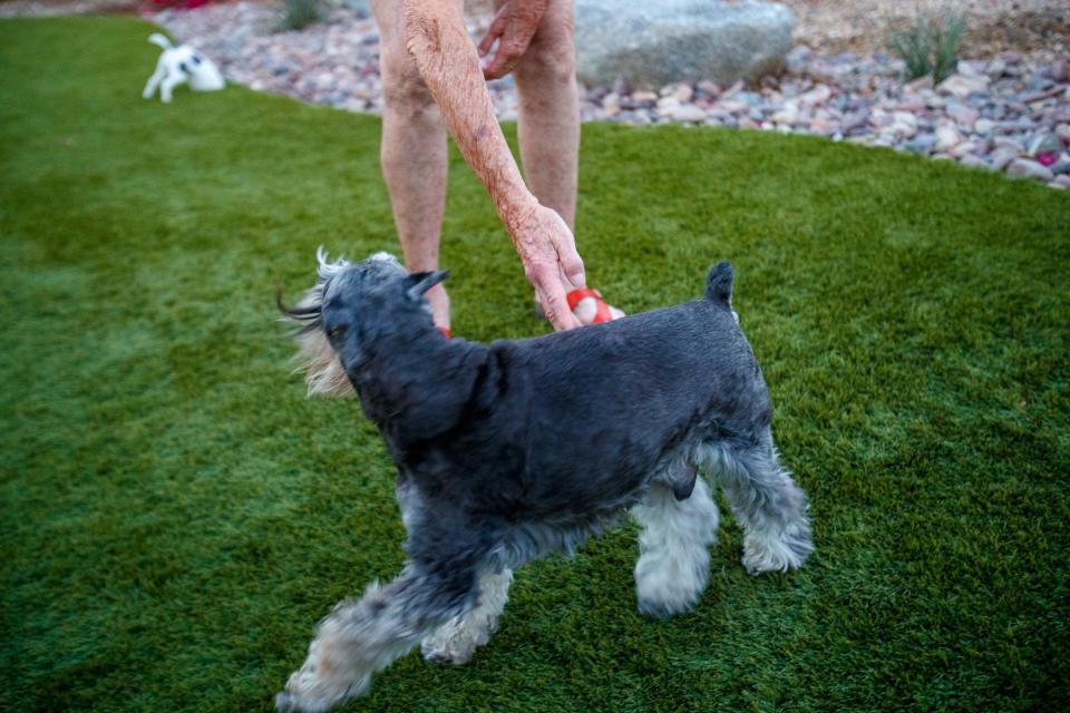 Bergit Coady-Kabel plays with her dog Justin at home in Indio, Calif., on November 15, 2021. In January 2022, Coady-Kabel, will be one of the judges at the 146th Annual Westminster Kennel Club Dog Show in New York.