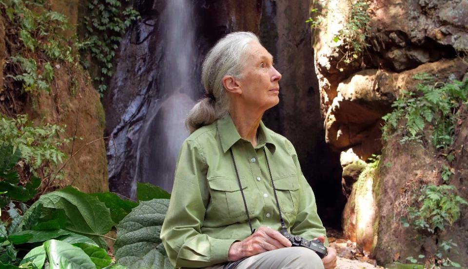 Jane Goodall