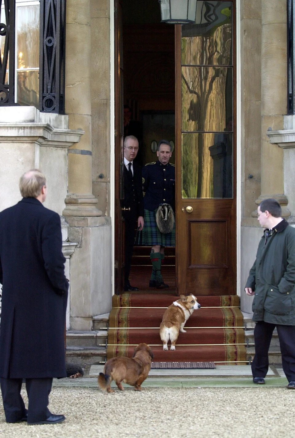 LONDON, UNITED KINGDOM - DECEMBER 14:  The Queen's Dogs (a Corgi And A Dorgi) Returning To Buckingham Palace.  (Photo by Tim Graham Photo Library via Getty Images)