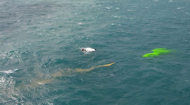 The men were stranded in the water. Source: Westpac Rescue Helicopter