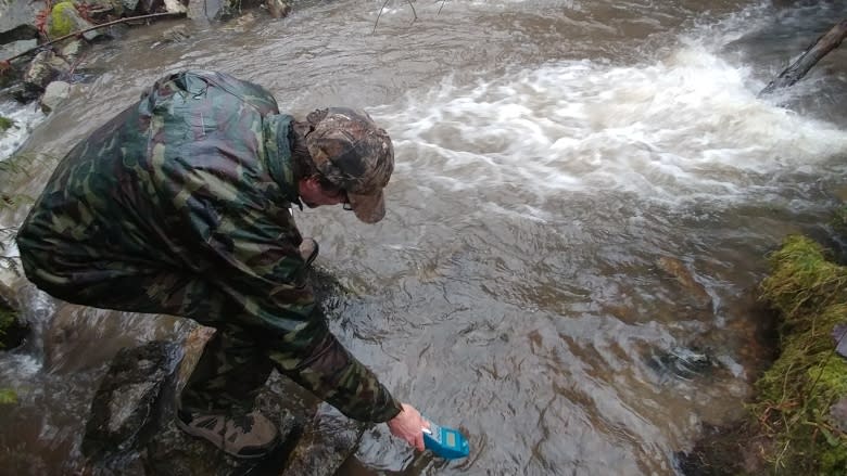 Road salt runoff has conservationist worried about salmon