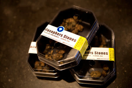 FILE PHOTO: Boxes containing magic mushrooms sit on a counter at a coffee and smart shop in Rotterdam November 28, 2008. REUTERS/Jerry Lampen (NETHERLANDS)/File Photo
