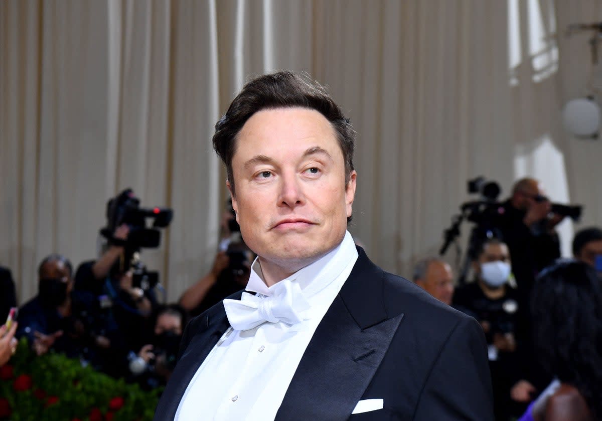 TESLA CEO Elon Musk   (AFP via Getty Images)