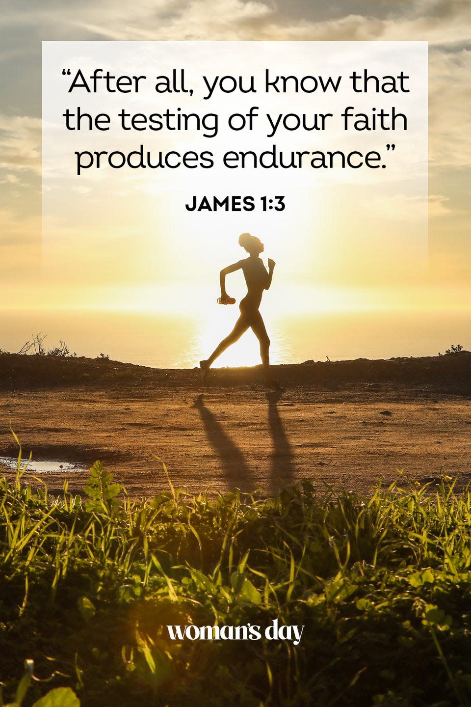 29) James 1:3