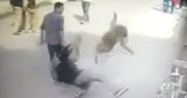 Instant Karma: The man is knocked to the ground by the leaping monkey