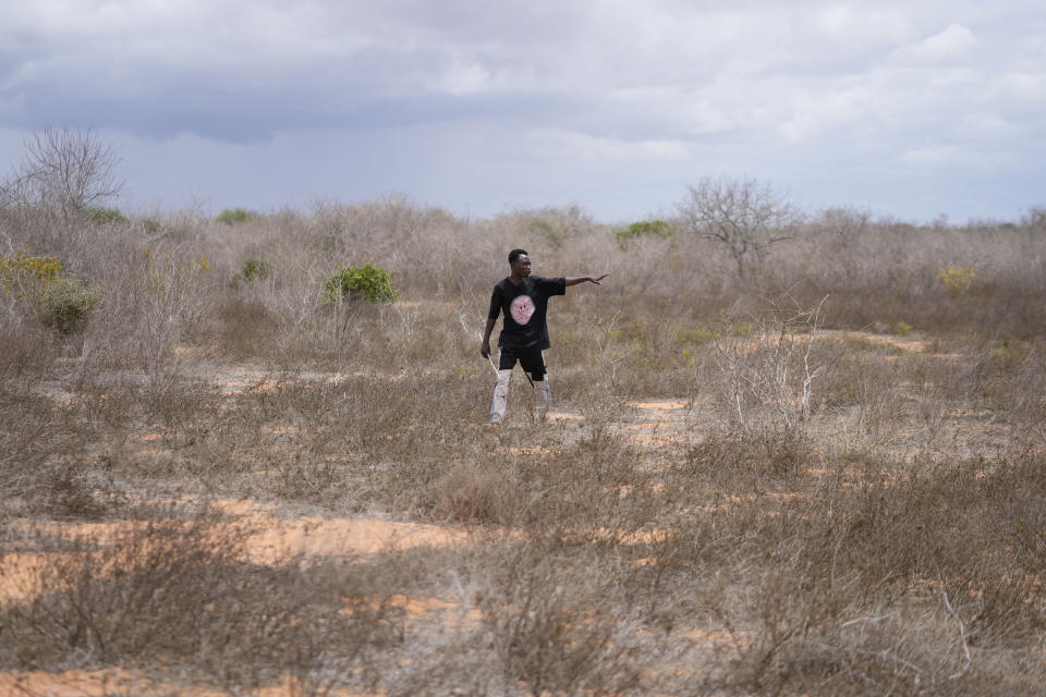 Shukran Karisa Mangi, 25, a gravedigger, walks in the bush near the forest where dozens of bodies have been found in shallow graves in the village of Shakahola, near the coastal city of Malindi, in southeastern Kenya, on Thursday, Sept. 5, 2024. (AP Photo/Brian Inganga)