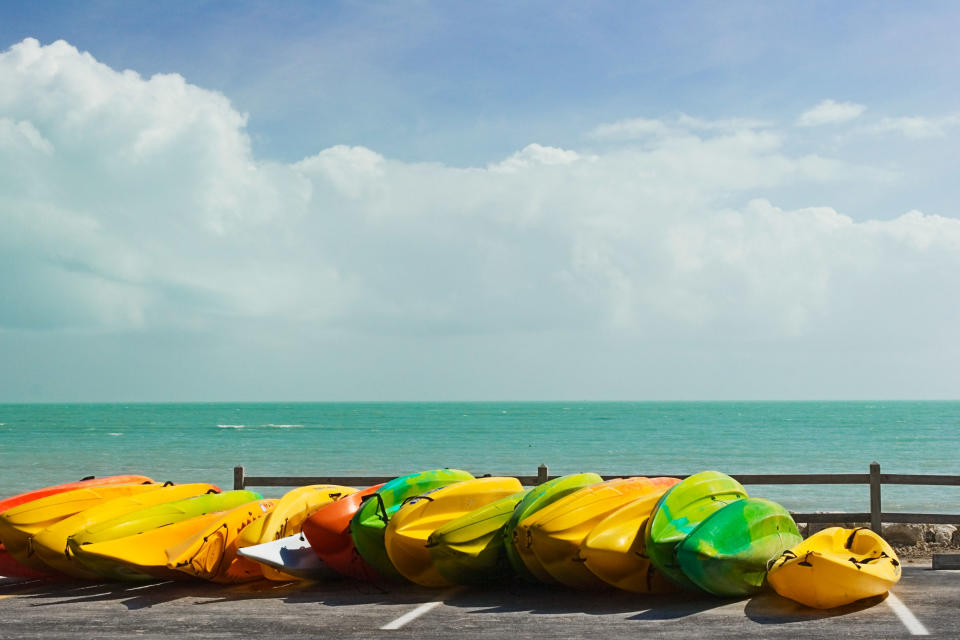 Paddle Out to Islamorada’s Mangroves