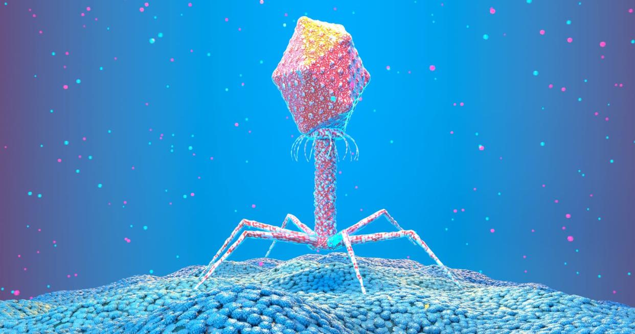 <span class="caption">Bacteriophages are viruses that infect bacteria and play a potential role in the evolution of life.</span> <span class="attribution"><a class="link " href="https://www.gettyimages.com/detail/illustration/bacteriophage-on-bacterium-illustration-royalty-free-illustration/1191008746" rel="nofollow noopener" target="_blank" data-ylk="slk:NANOCLUSTERING/SCIENCE PHOTO LIBRARY/Science Photo Library via Getty Images;elm:context_link;itc:0;sec:content-canvas"> NANOCLUSTERING/SCIENCE PHOTO LIBRARY/Science Photo Library via Getty Images</a></span>