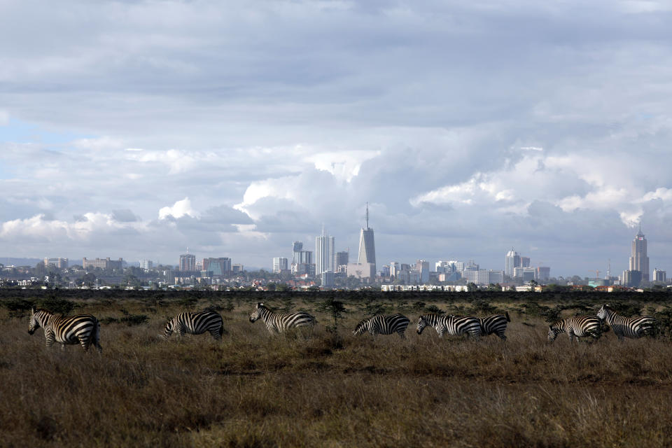 <p>Estas poderosas imágenes muestran cómo el ser humano ha ido construyendo sus ciudades sin preocuparse de la naturaleza.<br><br>Foto: REUTERS/Amir Cohen </p>