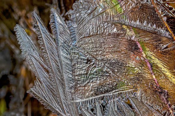 Ice on the shore of Lake Guy, northeastern Victoria, Australia.