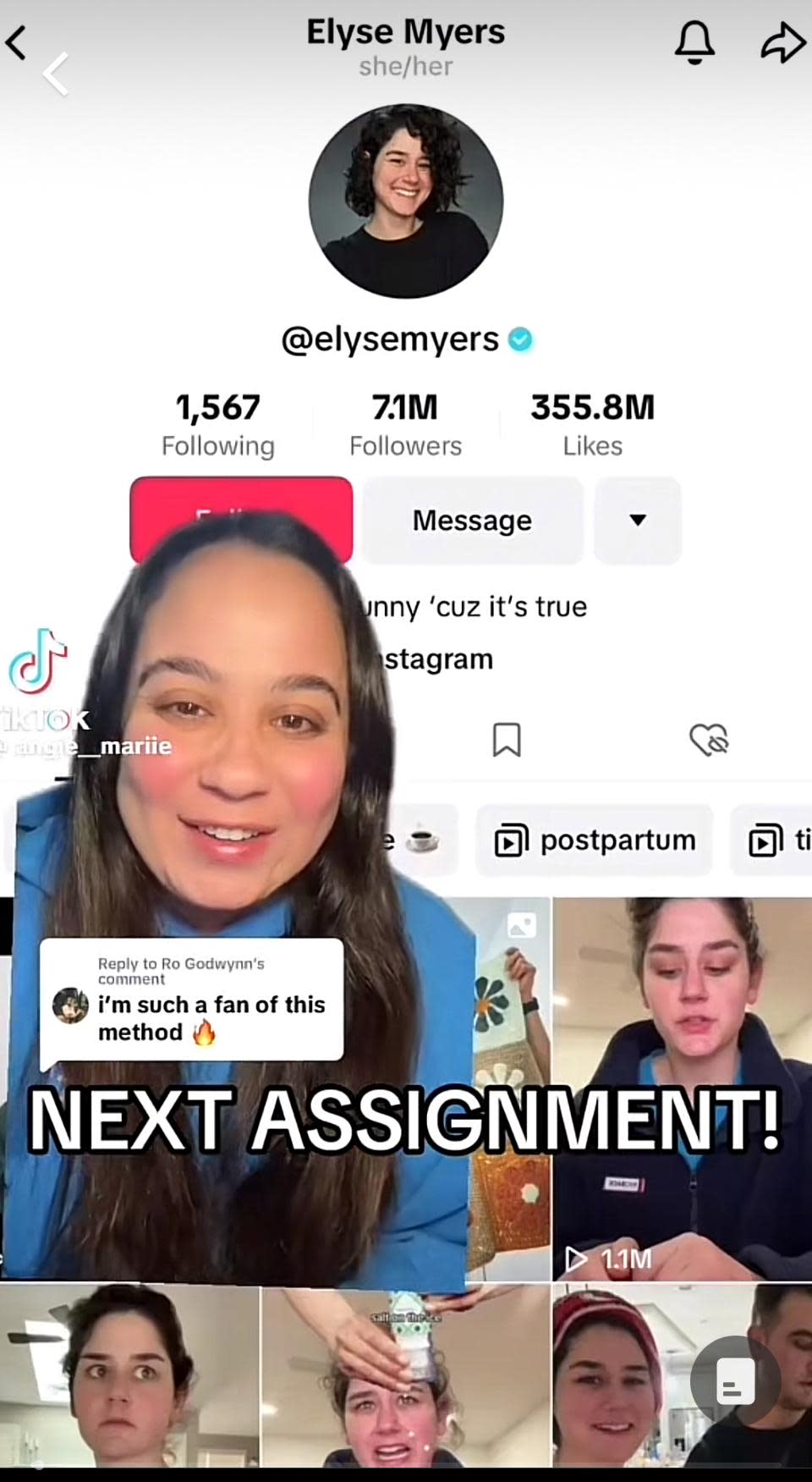 Free Palistine 029 on TikTok