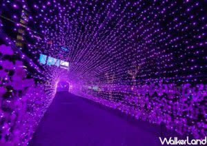 新莊耶誕燈節 ｜Xinzhuang Christmas Lights Festival (Courtesy of 鄭雅之/Taipei Walker)