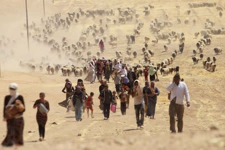 Displaced people from the minority Yazidi sect, fleeing violence from forces loyal to the Islamic State in Sinjar town, walk towards the Syrian border, on the outskirts of Sinjar mountain, near the Syrian border town of Elierbeh of Al-Hasakah Governorate in this August 10, 2014 file photo. REUTERS/Rodi Said/Files