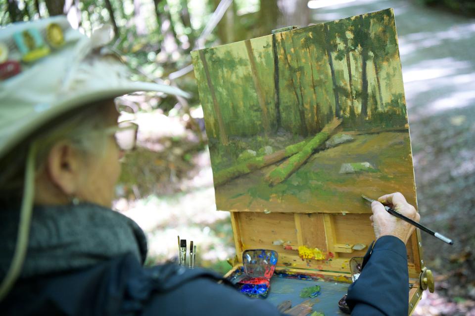 Beverly Ford Evans paints near the Spence Cabin during the Plein Air in the Smokies event held by Friends of the Smokies in Great Smoky Mountains National Park. Twenty nationally acclaimed artists are painting throughout the park during the week, with the resulting paintings going up for sale at a ticketed gala and reception at the Clayton Center for the Arts in Maryville.