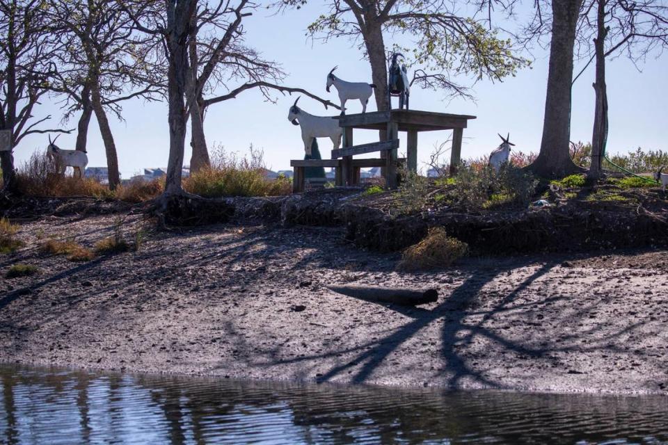 Metal replica goats donated by local businesses now stand where live goats once frolicked for visitors to the Marshwalk in Murrells Inlet, SC. ​​The herd of goats was moved from the island to a local farm for their own safety after flooding threatened the island, according to local restaurant owner Al Hitchcock. December 7, 2023.