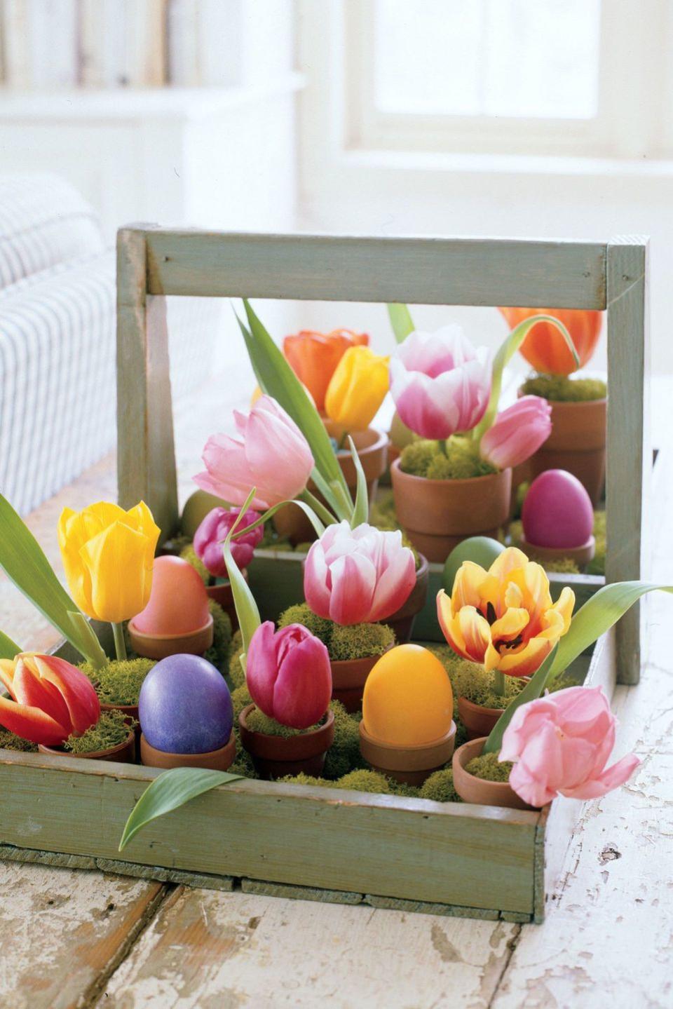 Tulip Centerpiece