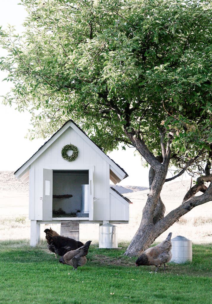 Cottage Style Chicken Coop