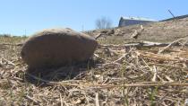 'One man can't do it alone': Community to clean up farmer's flood-ravaged fields