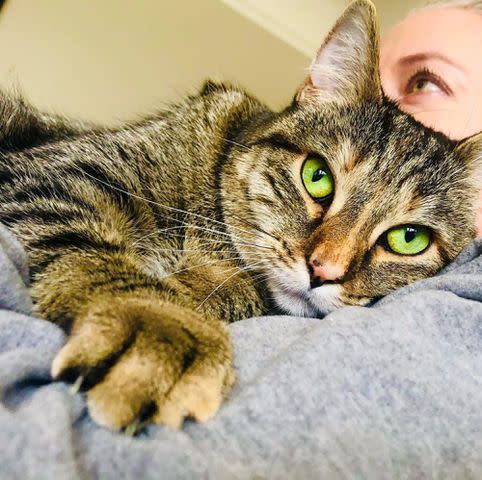 <p>Jane Fallon Instagram</p> Jane Fallon with her cat