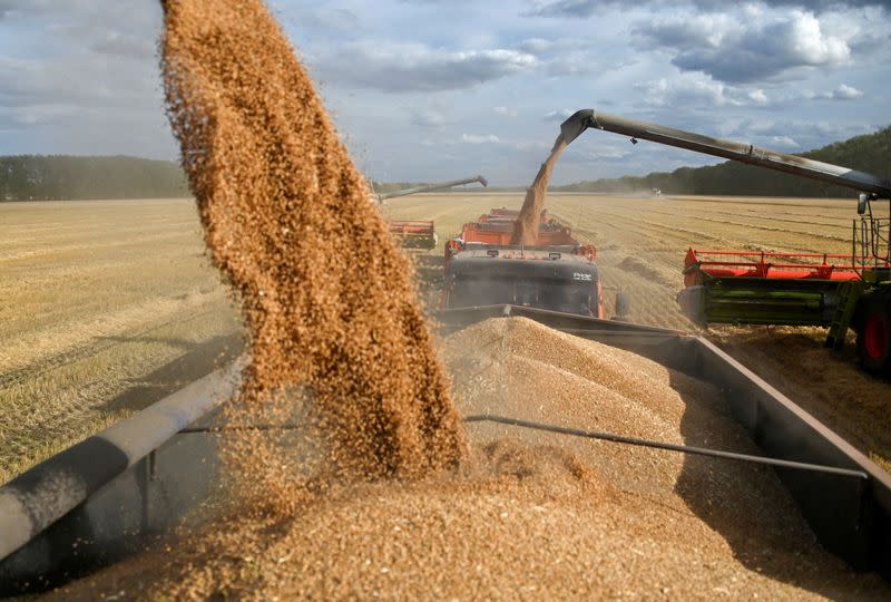 FILE PHOTO: Wheat harvest in Russia's Omsk region