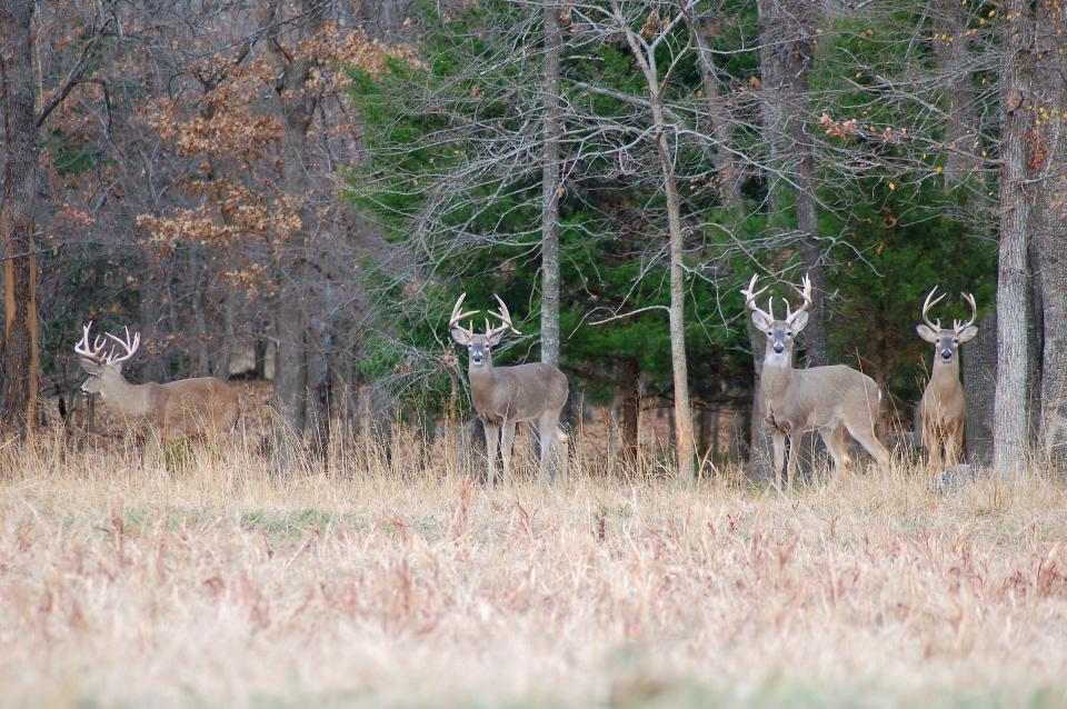 Hunters love to be in the woods for the actual hunt but deer camp itself is a source of fun and lasting memories.