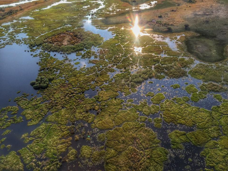 Okavango/ Jose Miguel Redondo
