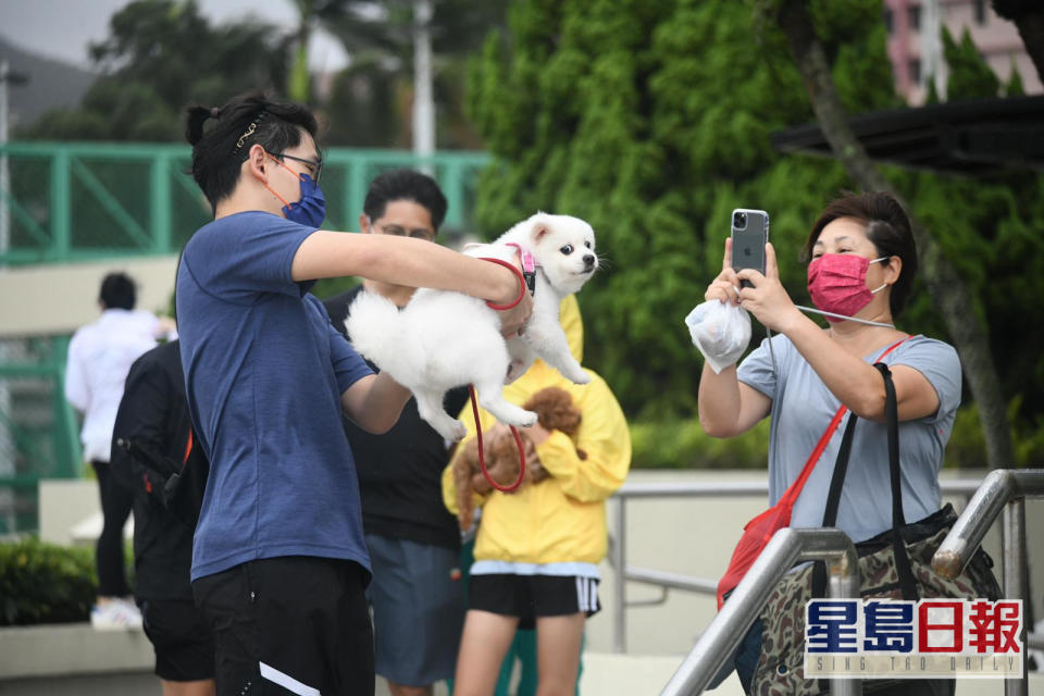 下午風勢及雨勢明顯減弱市民紛外出。