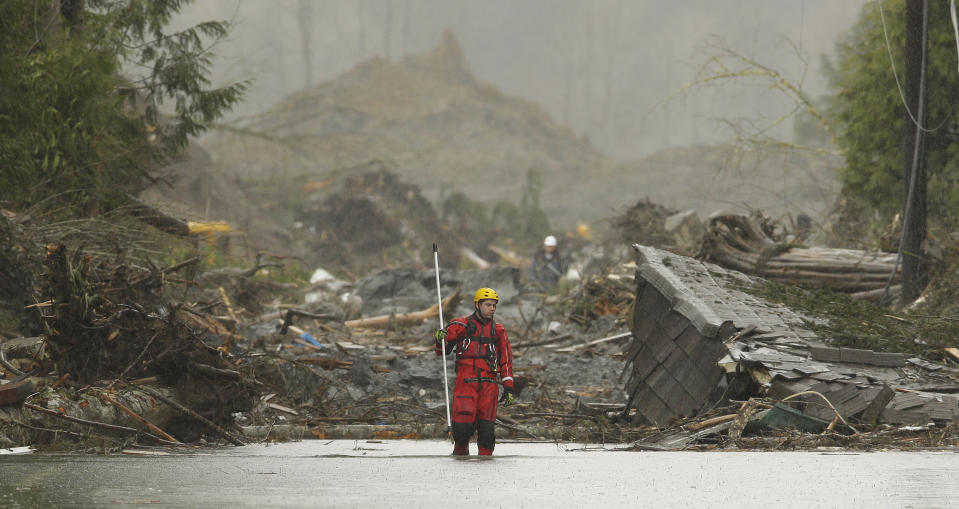 A search and rescue worker carrying a probe wades through water covering Washington Highway 530 Thursday, March 27, 2014, on the eastern edge of the massive mudslide that struck Saturday near Darrington, Wash. as heavy equipment moves trees and other debris in the background. (AP Photo/Ted S. Warren, Pool)
