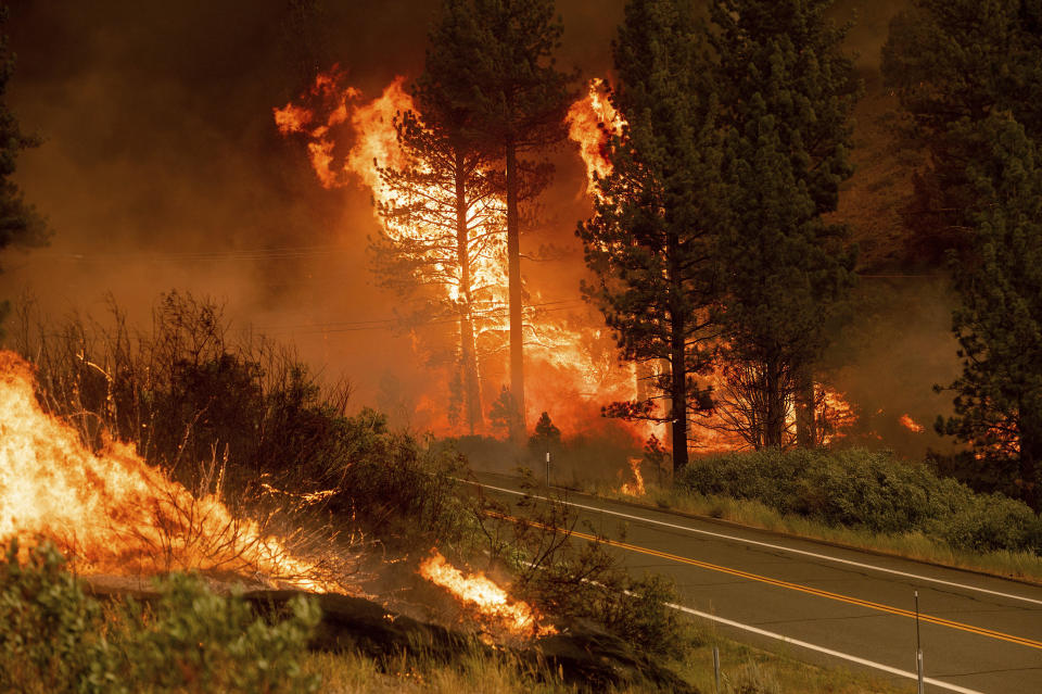 The Tamarack Fire burns in the Markleeville community of Alpine County, California, on July 17, 2021. / Credit: Noah Berger/AP