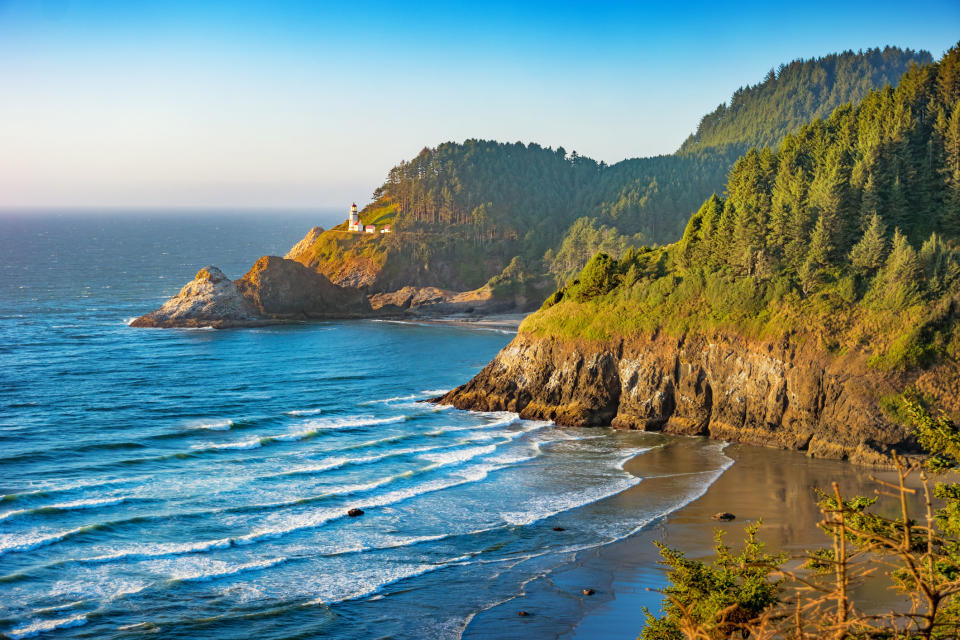 Lush mountains on the Oregon coast