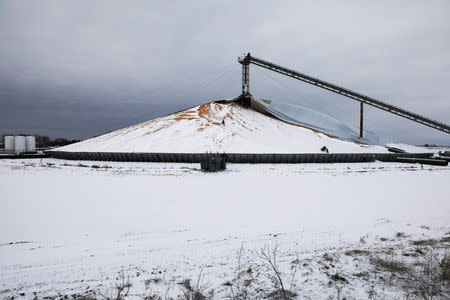 A mountain of grain sits in a storage pile, as midwestern grain farmers and merchants struggle to find storage space after three years of record harvests, near Minburn, Iowa, U.S., March 11, 2017. REUTERS/Scott Morgan